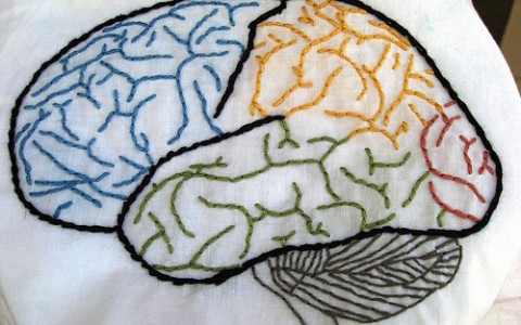 Modelatorul miscarilor