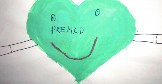 Centrul Medical Premed și Liceul Teoretic Mihai Ionescu, împreună în proiectul Săptămâna altfel