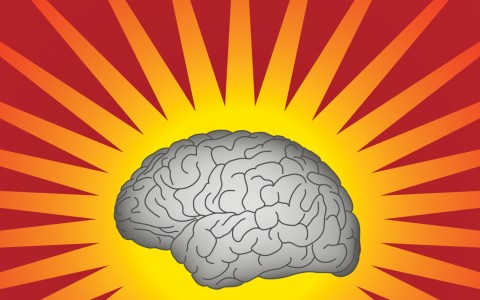 Arhitectura vascularizației cerebrale