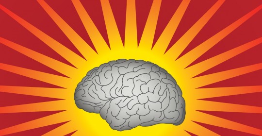 Arhitectura vascularizației cerebrale